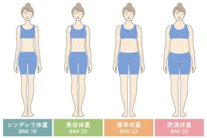 160センチ 85キロ 女