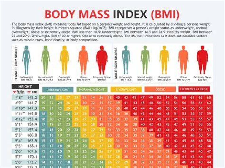 164cm 54kgは標準体重？BMI・見た目・健康の目安をわかりやすく解説