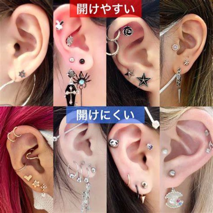 立ち耳に似合う ピアス位置