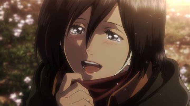 進撃の巨人 ミカサ同人誌
